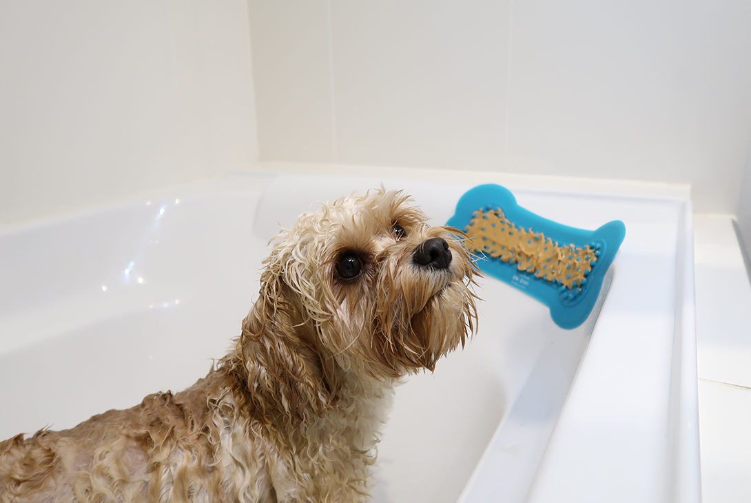 5 Handy Hacks For Your Pets Lick Mat