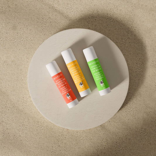 Lip Balm Lover Set